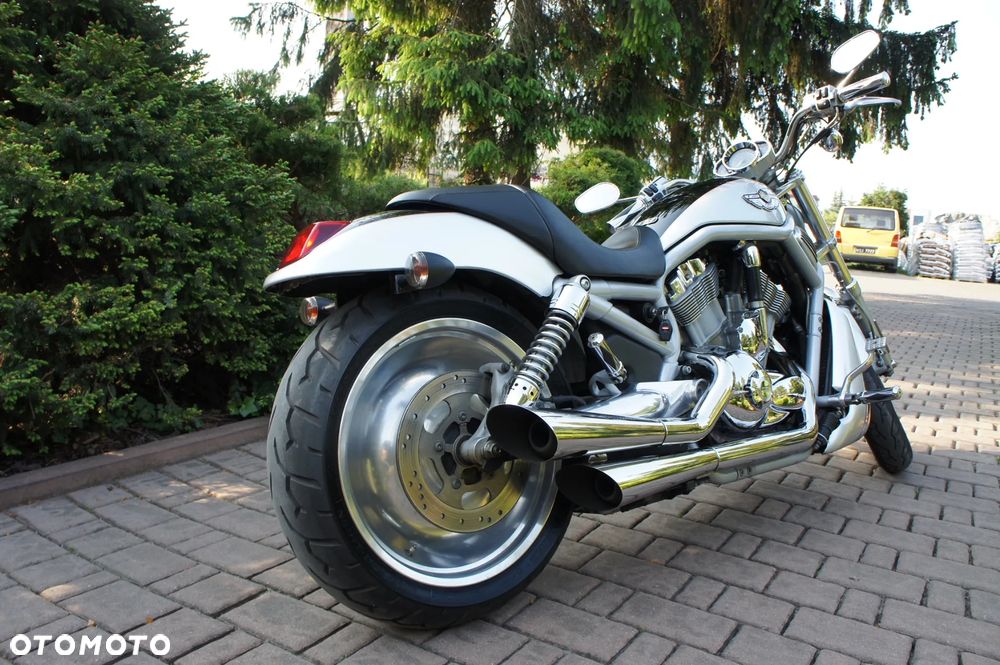 Harley-Davidson V-Rod Street Rod - 2