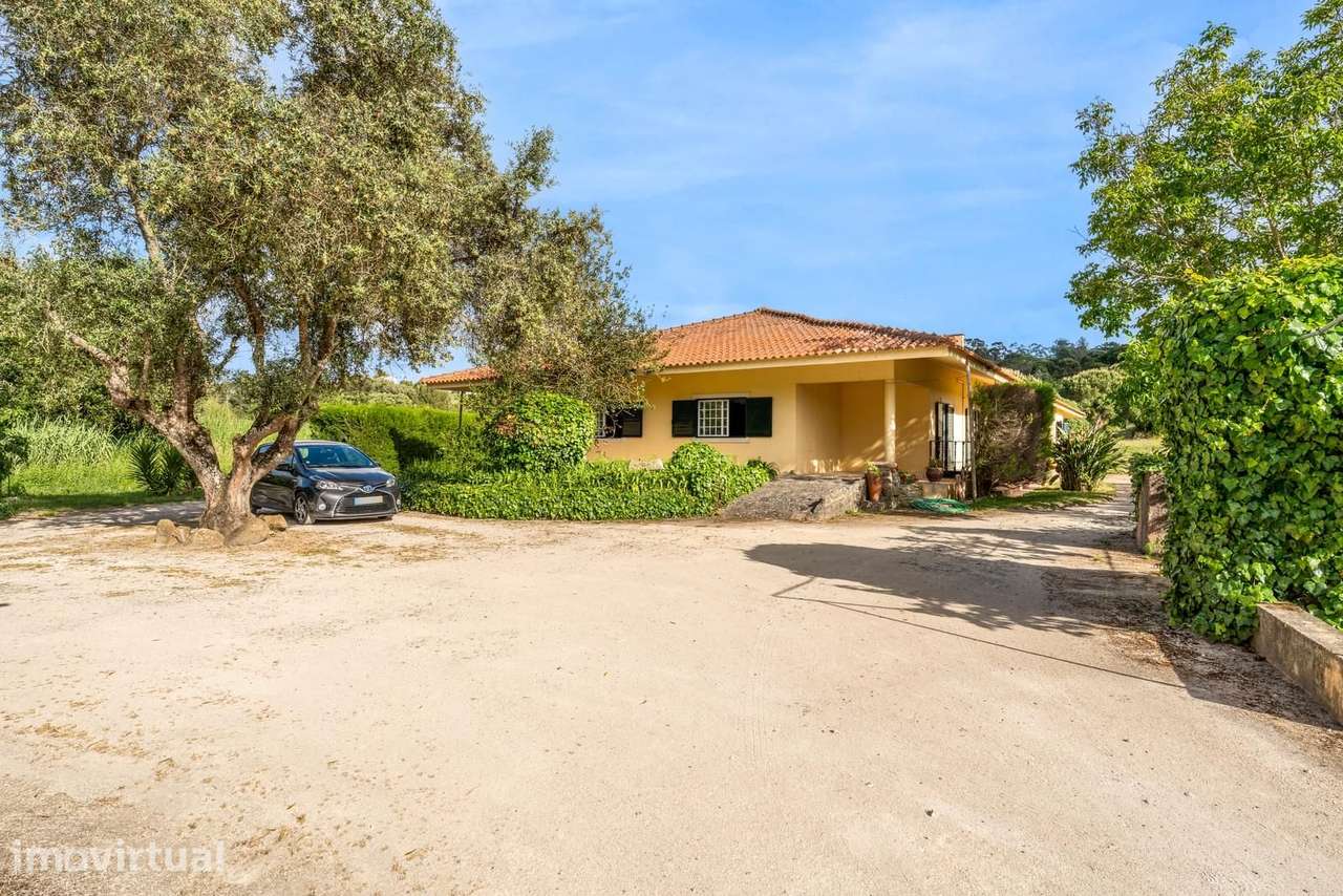 Herdade 1.4 ha, Mucifal, Sintra - Grande imagem: 5/21