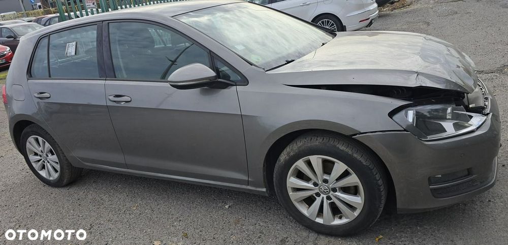 Volkswagen Golf - 21