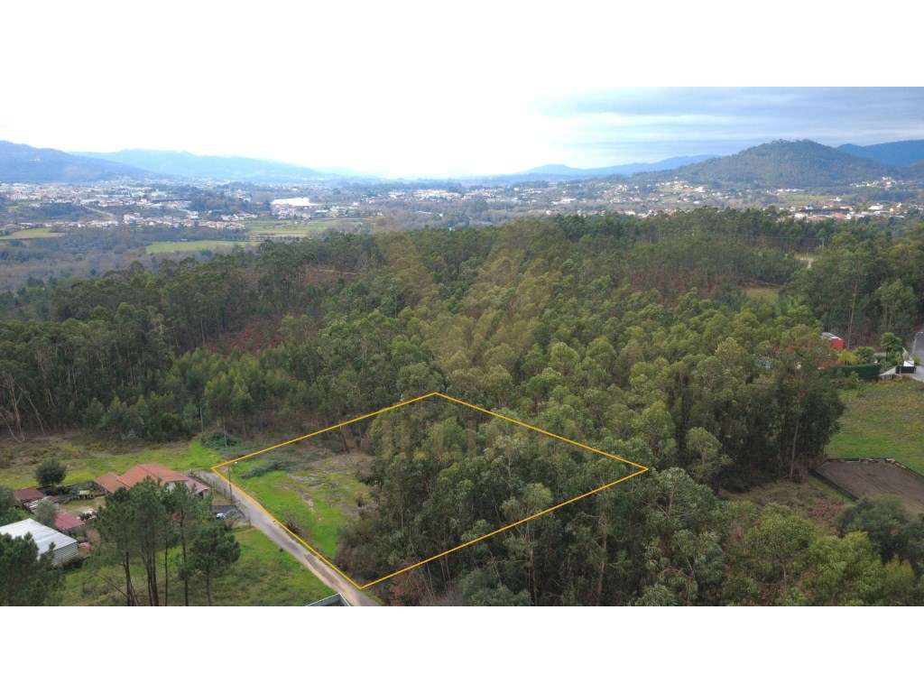 Terreno rústico 3.145 m² | Refoios do Lima, Ponte de Lima - Grande imagem: 5/6