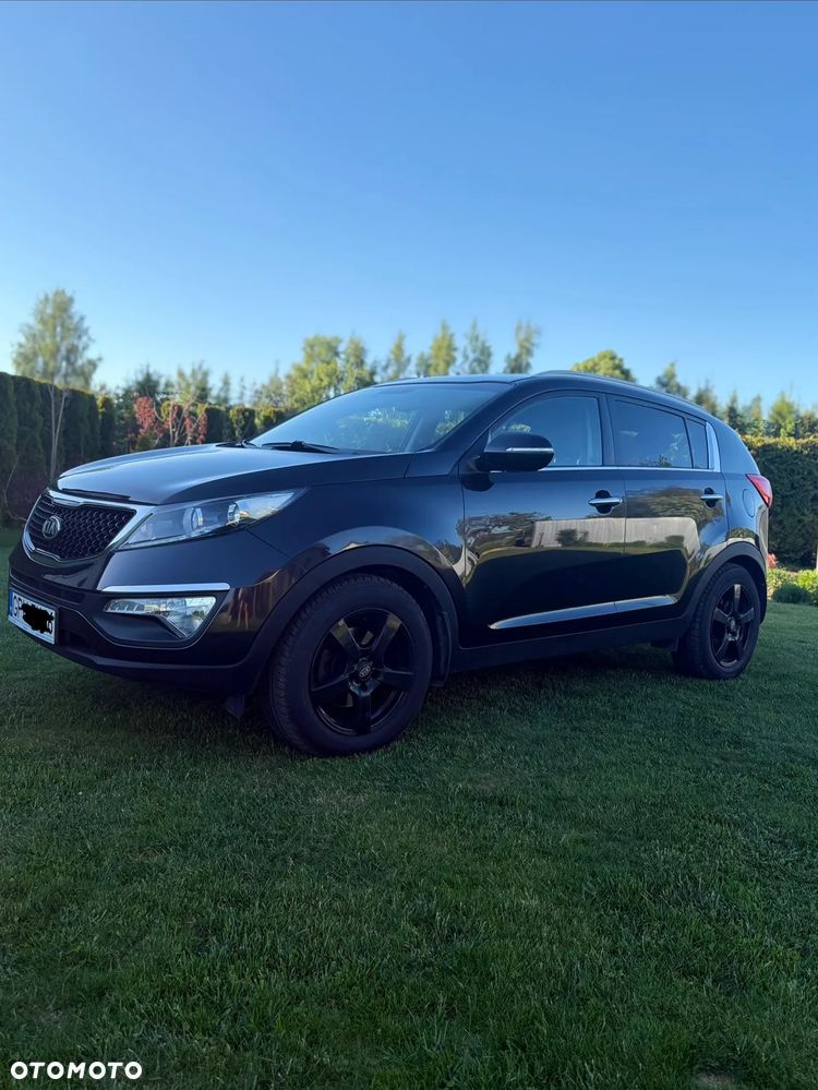 Kia Sportage - 1
