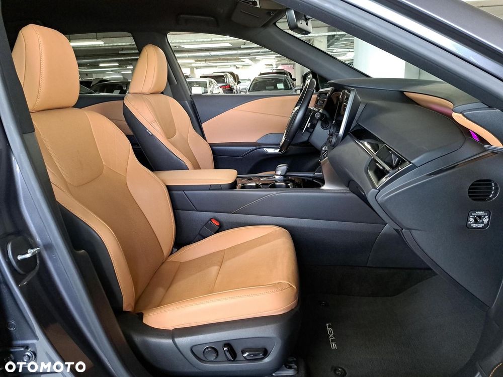 Lexus RX - 14