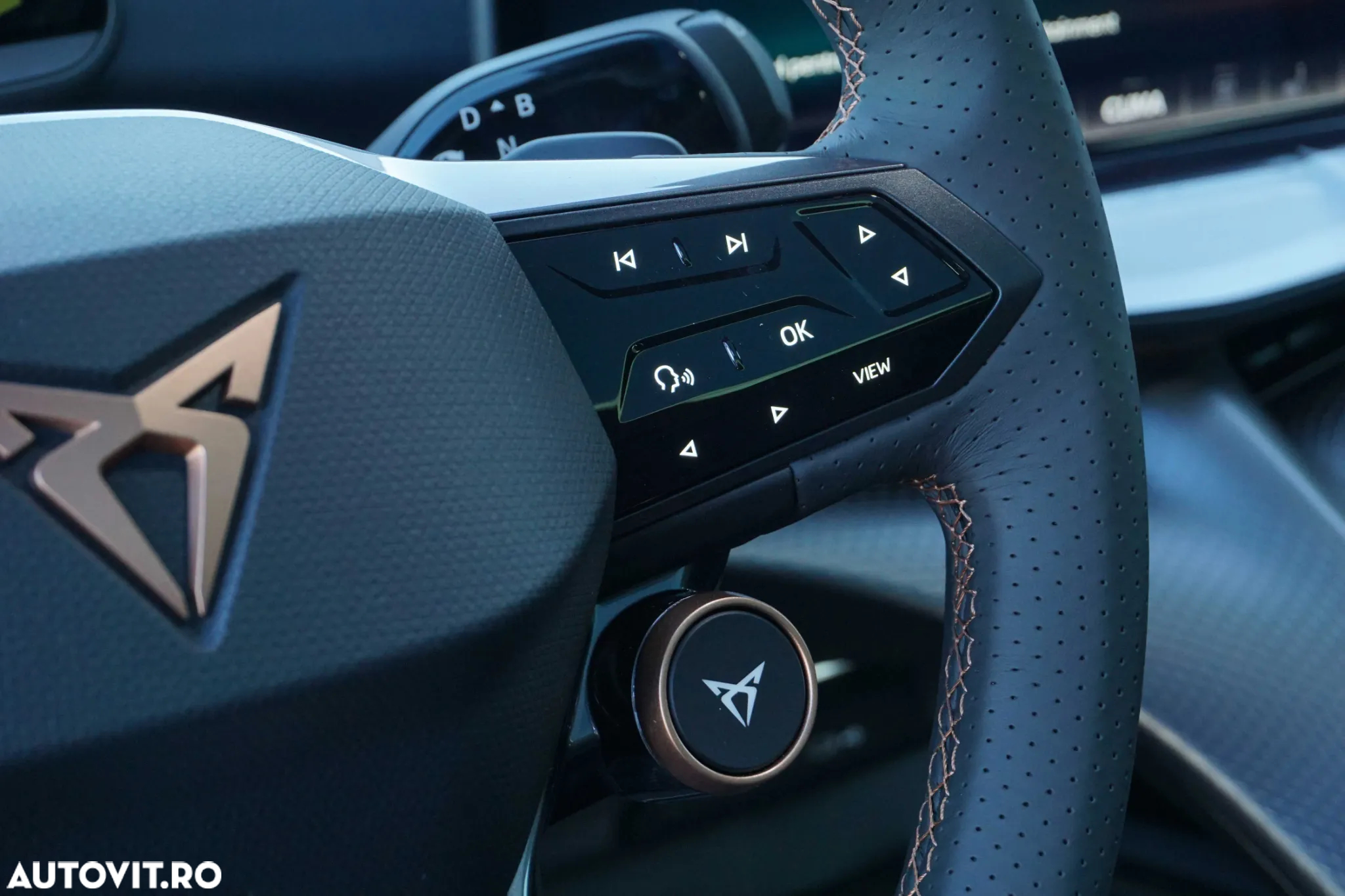 Cupra Tavascan - 22