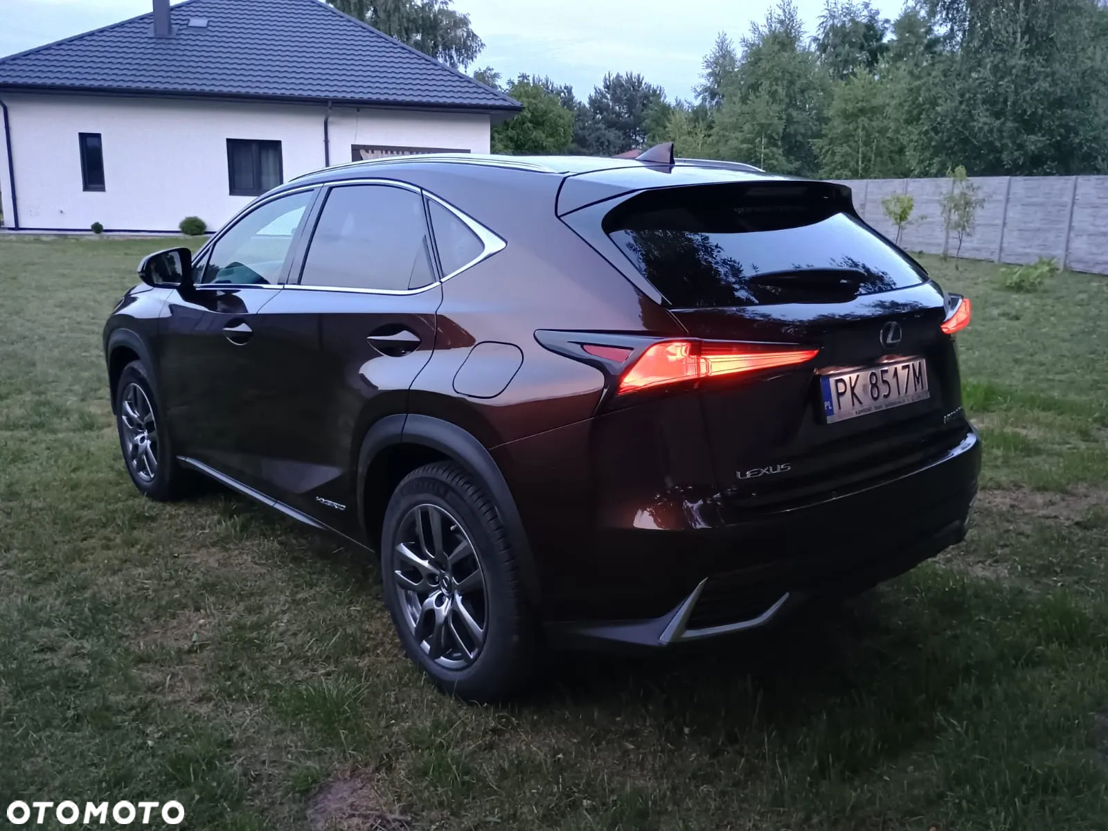Lexus NX 300h Elegance AWD - 21