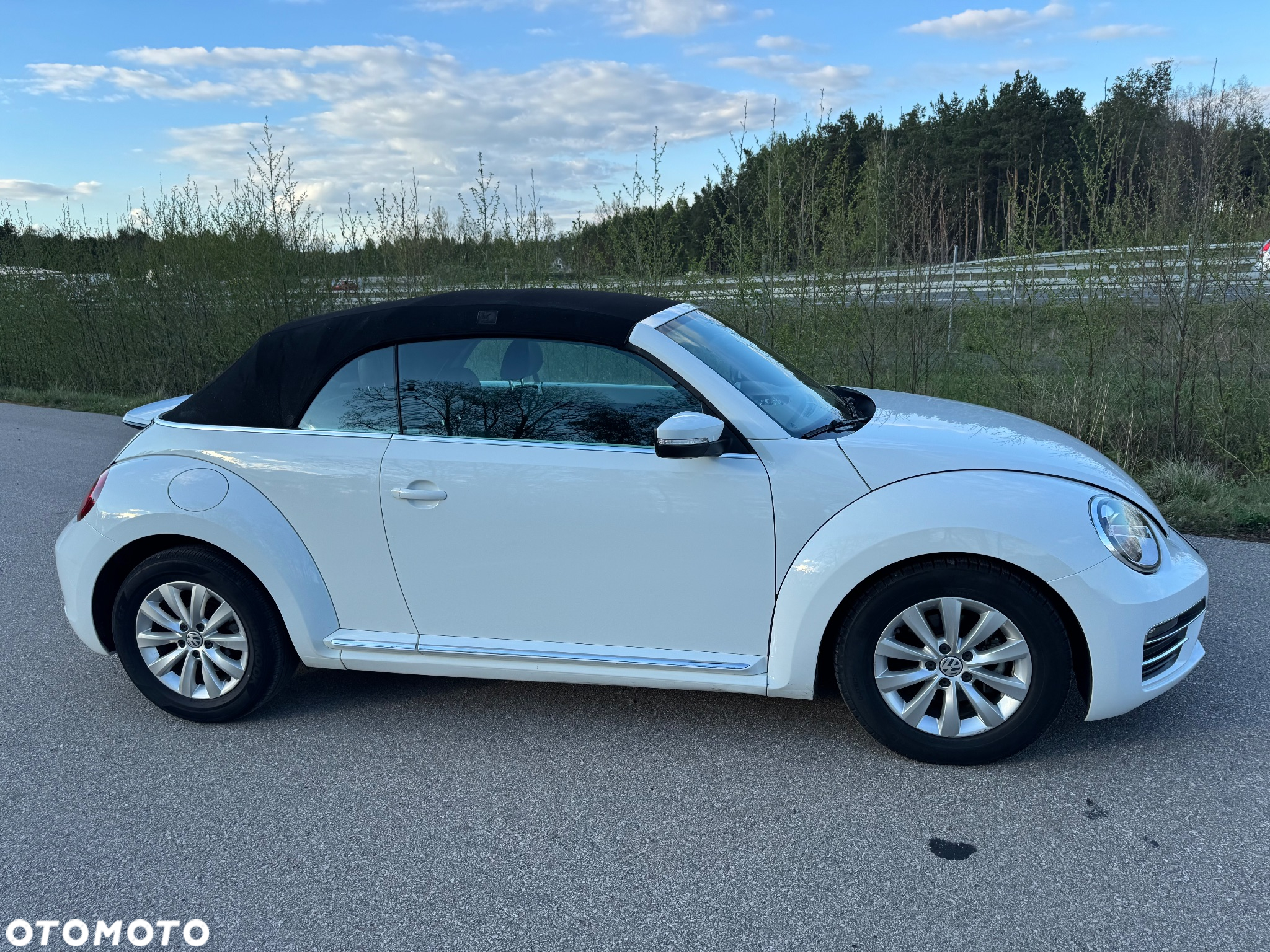 Volkswagen Beetle - 6