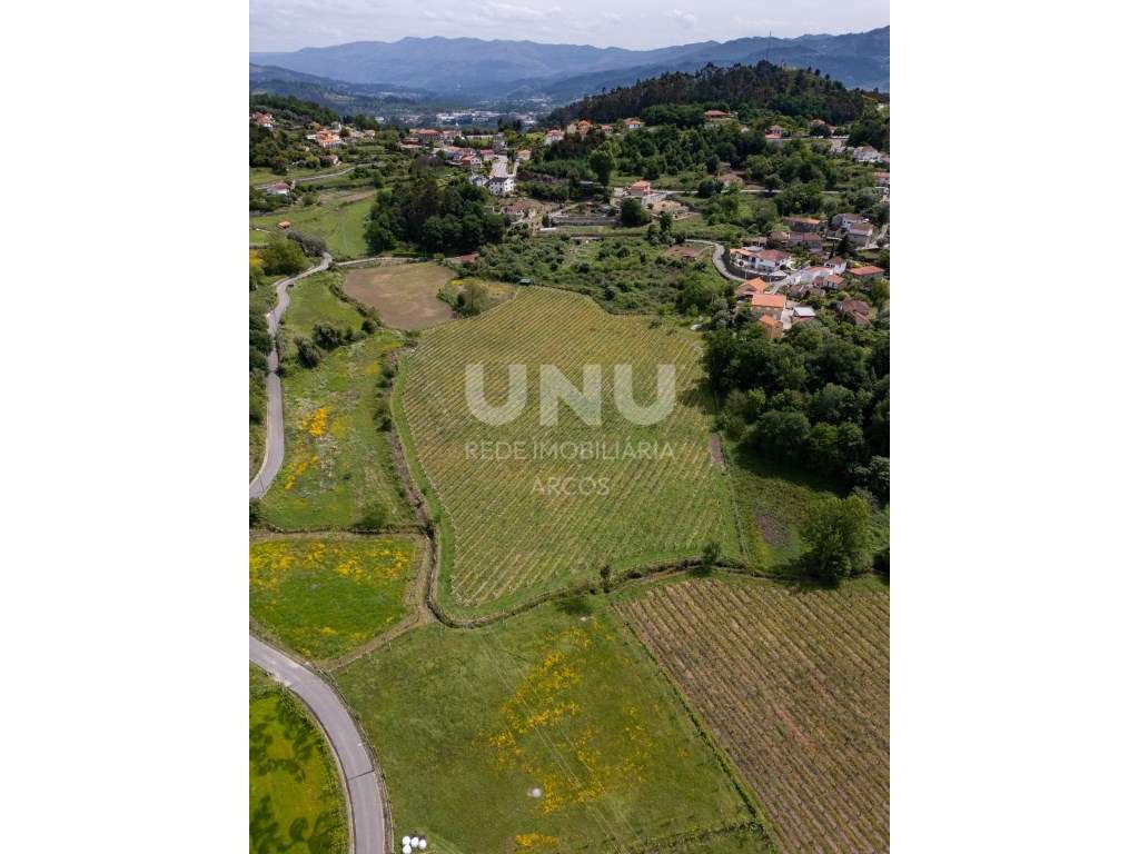 Quinta Vinícola - Grande imagem: 2/5