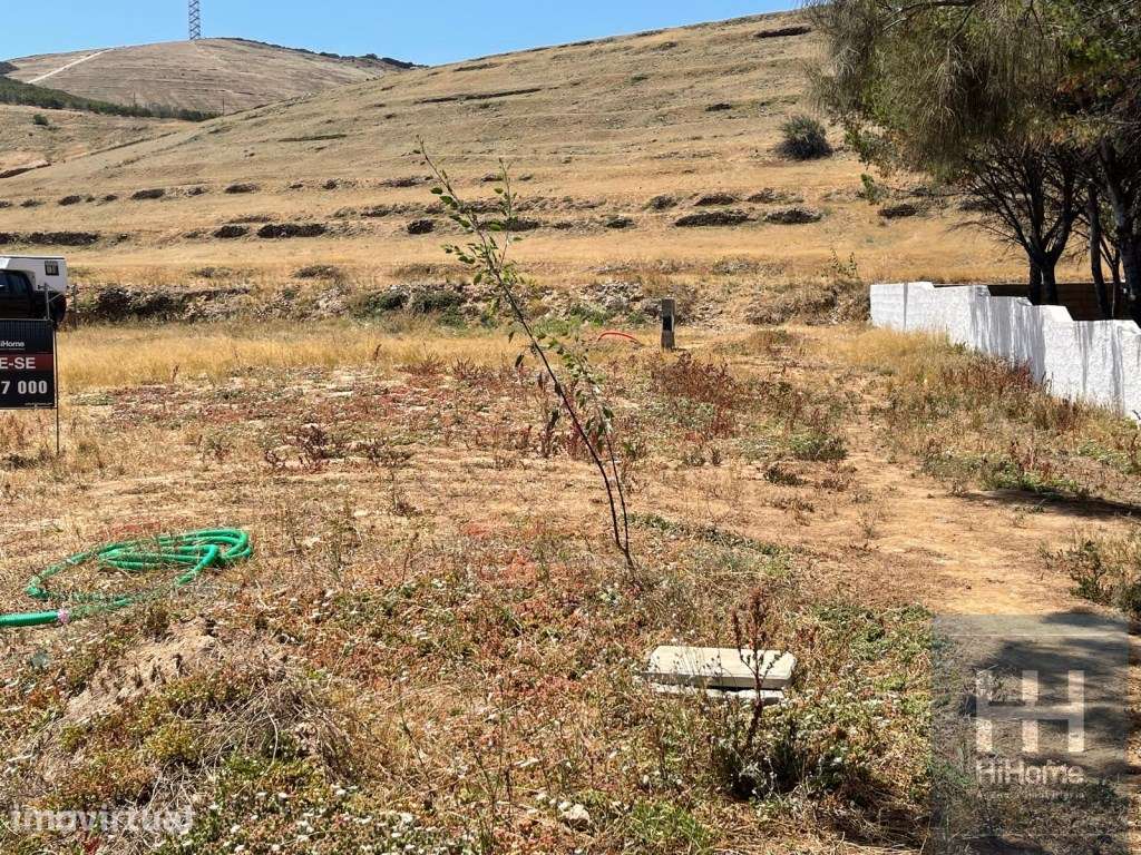 Terreno com projeto de moradia térrea T2 - Porto Santo - Grande imagem: 3/15
