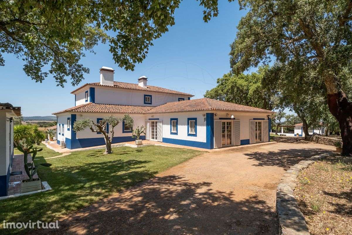 Quinta T5 para venda - Grande imagem: 3/50