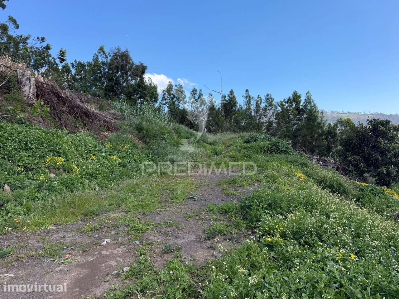 Terreno Urbanizável em São João Ribeira Brava - Grande imagem: 2/9