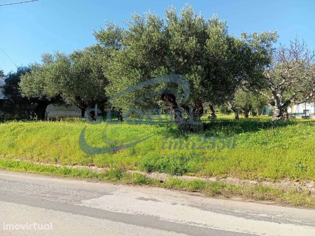 Terreno Venda Torres Novas - Grande imagem: 2/9