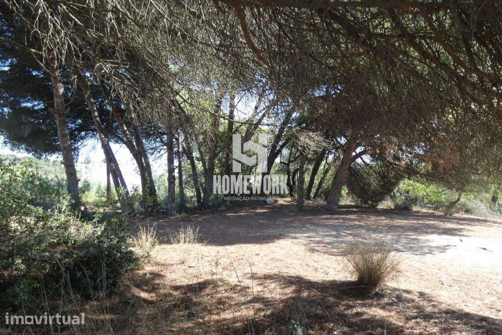 Terreno em fase de urbanização na Costa da Caparica - Grande imagem: 5/11
