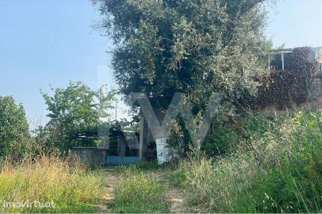 Terreno com viabilidade de construção| Banhos Secos| Santa Clara| Vist - Grande imagem: 3/15