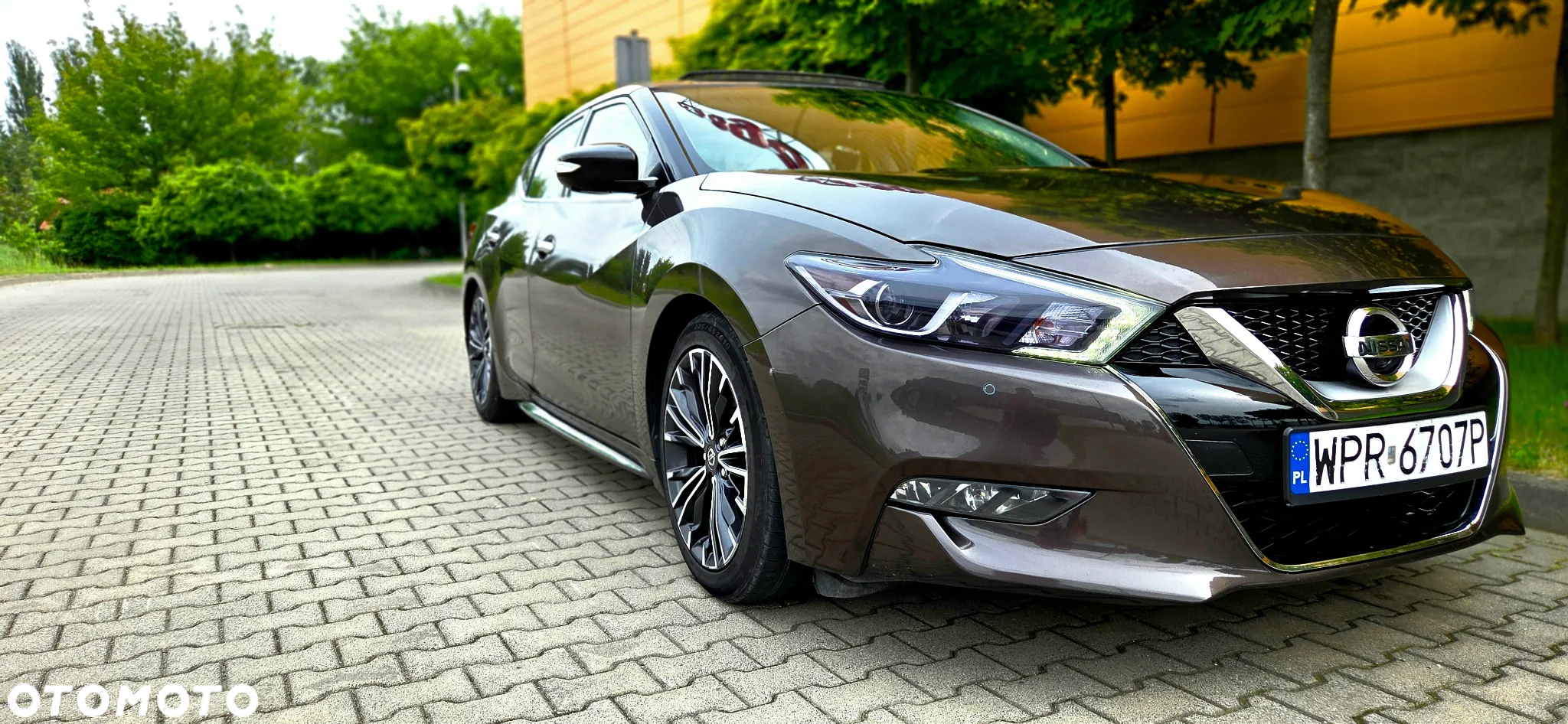 Nissan Maxima - 21