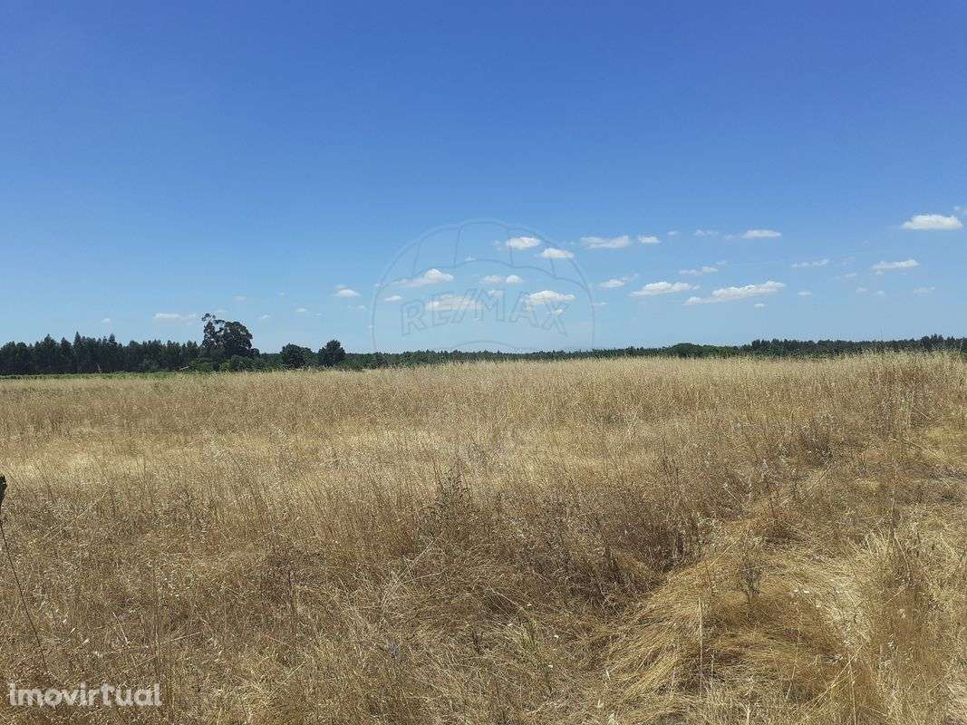 Terreno  para venda - Grande imagem: 3/4