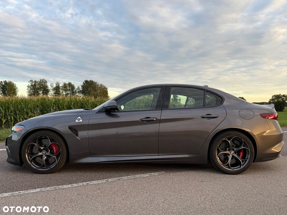Alfa Romeo Giulia - 2