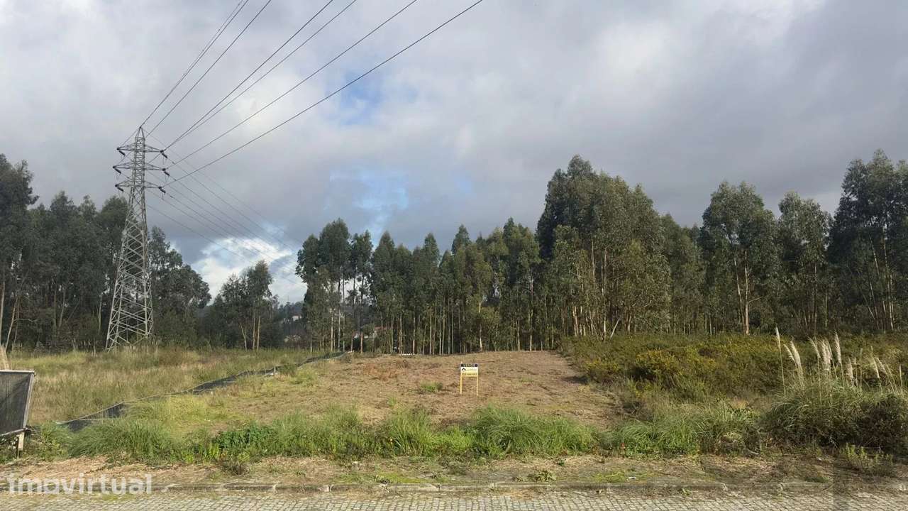 Lote industrial em Sanguedo, Santa Maria da Feira - Grande imagem: 4/7