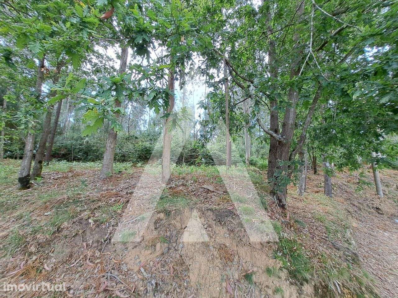 Terreno para venda para construção de moradias na zona de Argoncilhe - Grande imagem: 2/14