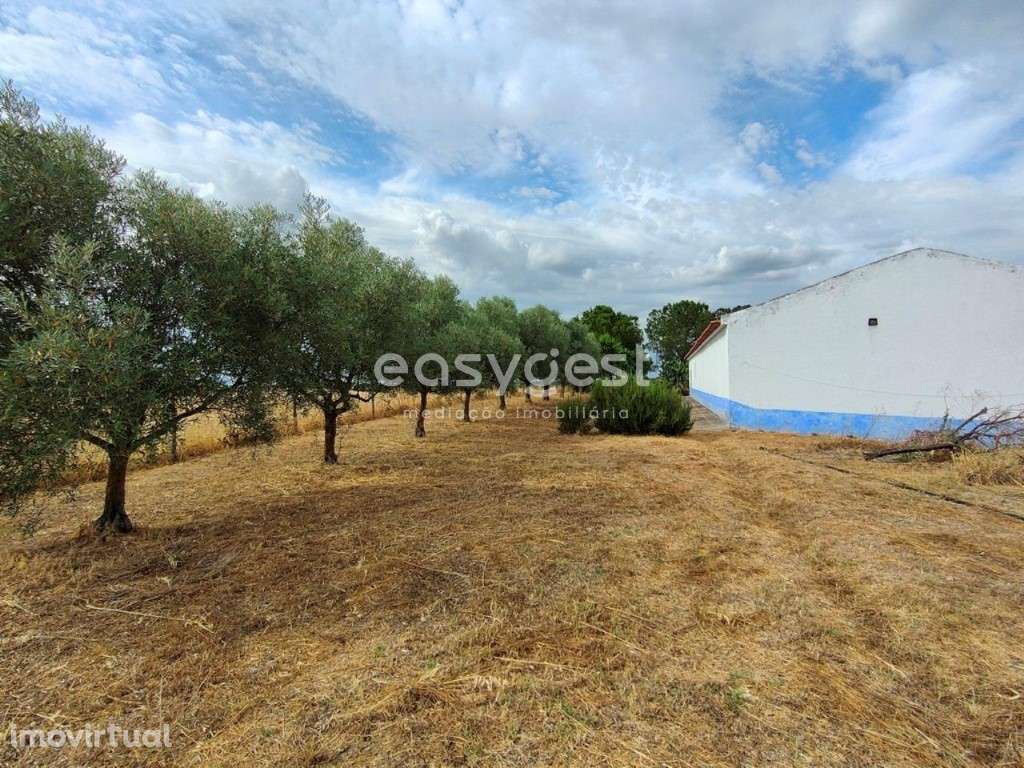 Monte Alentejano T2 com 50.189 m2 a poucos Kms da cidade de Beja - Grande imagem: 3/25