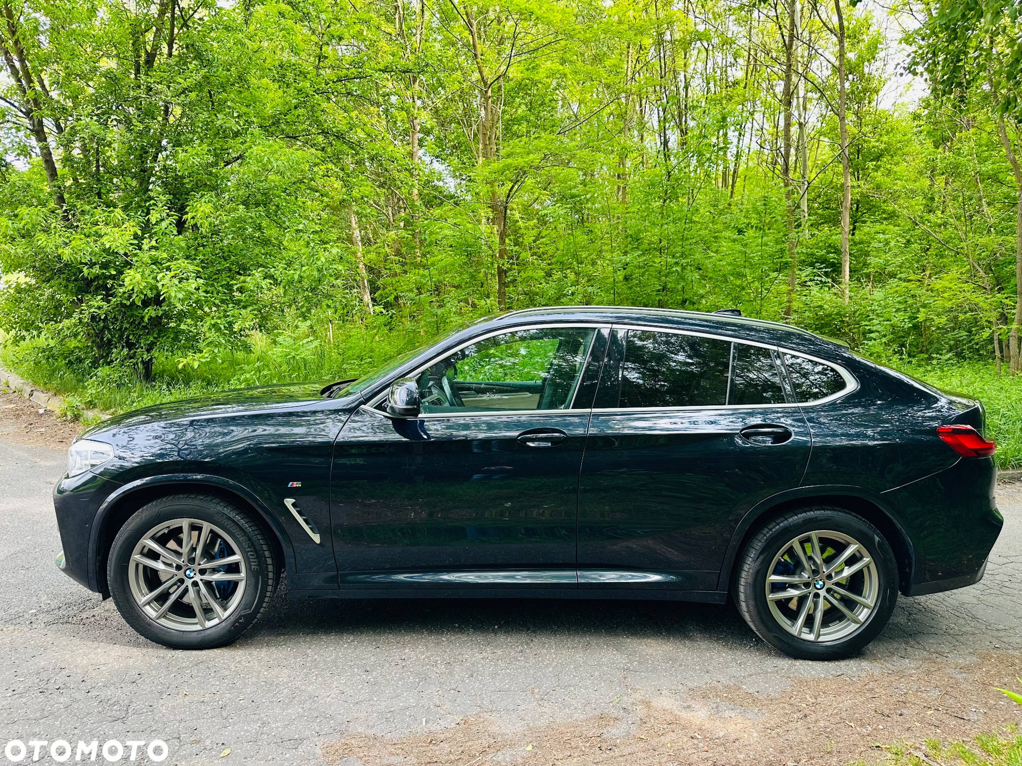 BMW X4 xDrive30i GPF M Sport X sport - 10