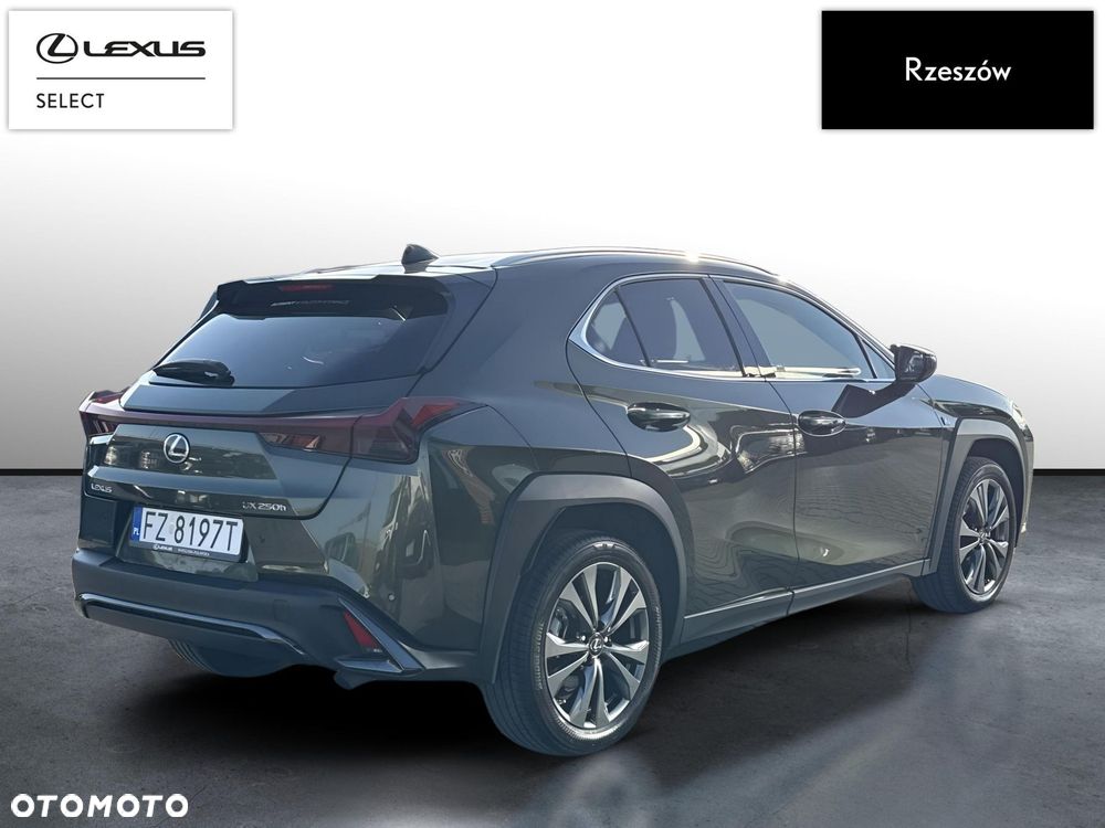 Lexus UX 250h GPF F Sport Design 2WD - 5