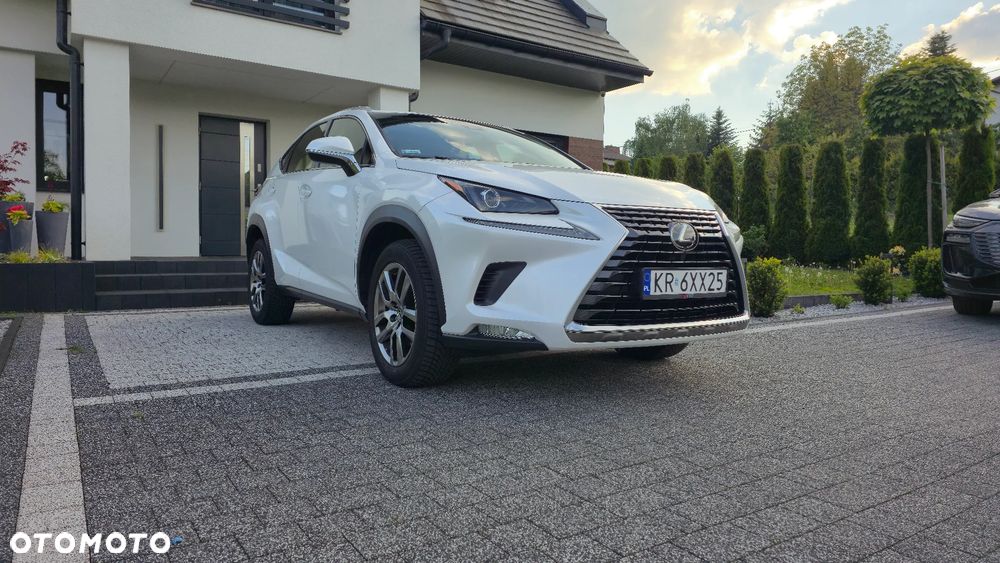 Lexus NX 300 Business Edition AWD - 13