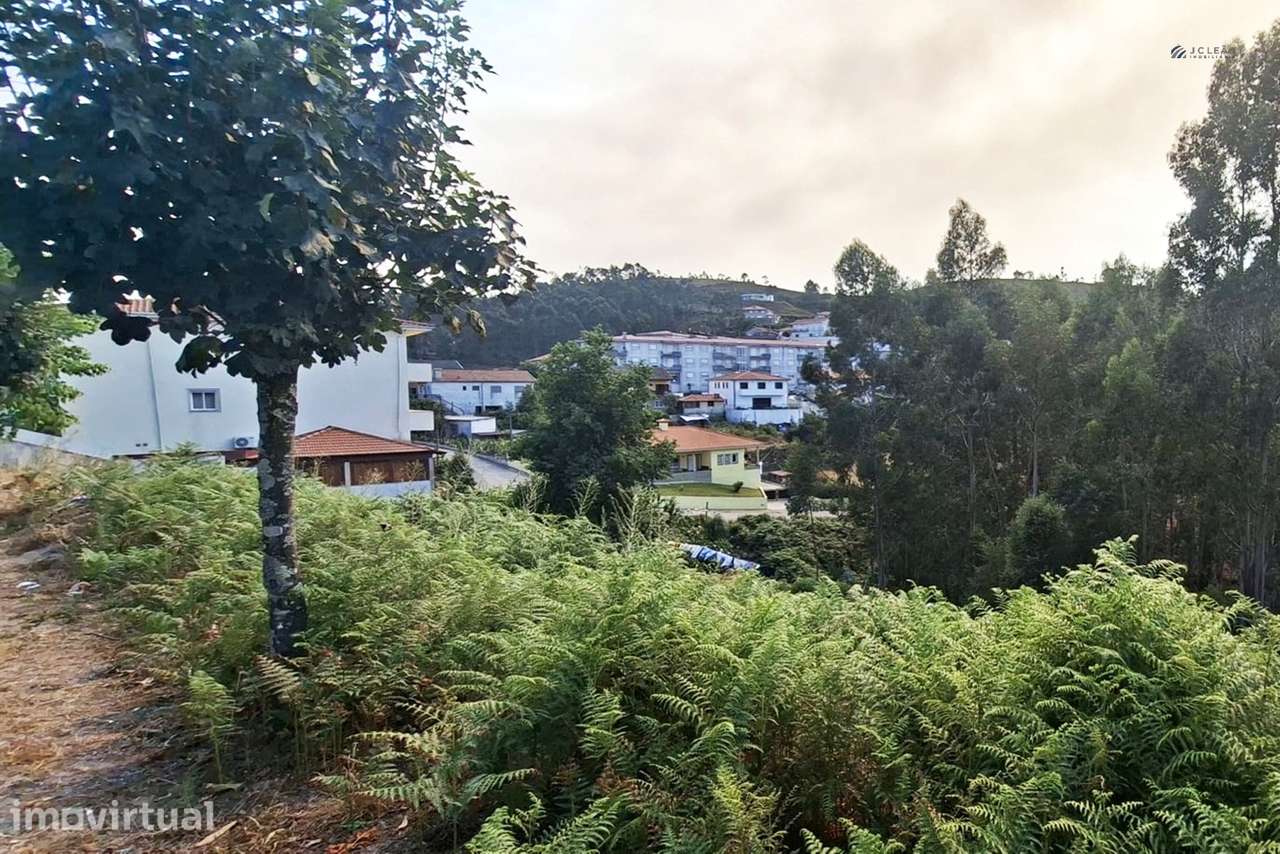 Terreno Rústico  Venda em Lustosa e Barrosas (Santo Estêvão),Lousada - Grande imagem: 4/14