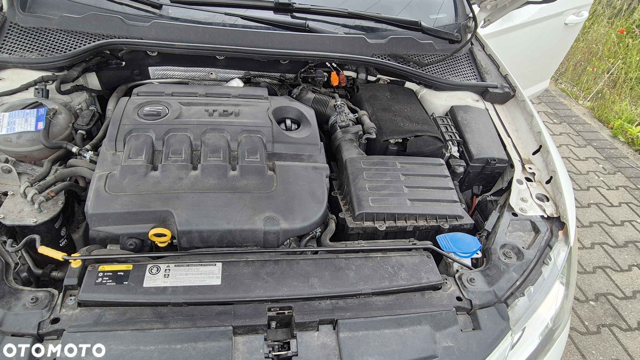 Seat Leon 1.6 TDI DPF Ecomotive Reference - 17