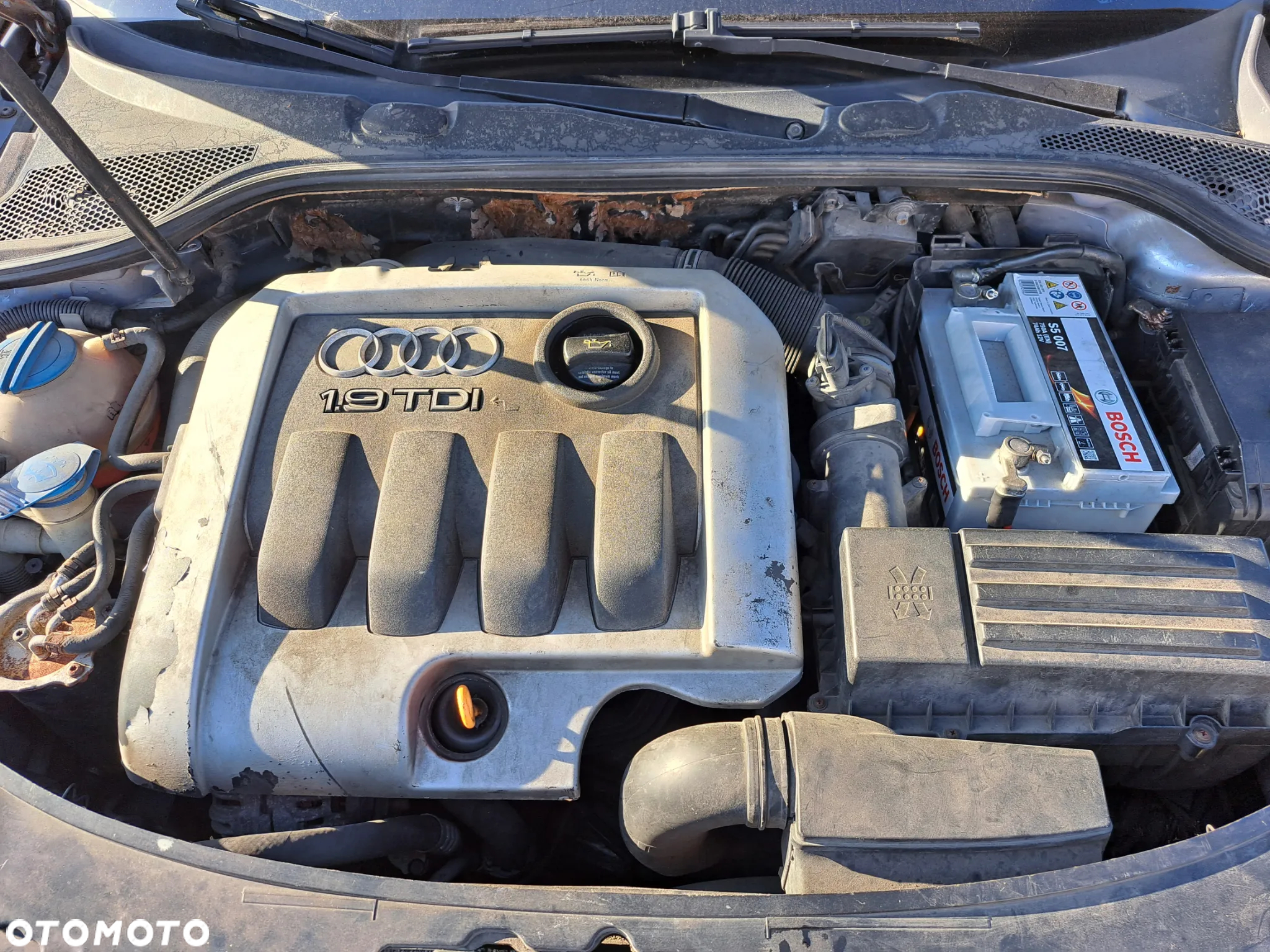 Audi A3 8P 1,9 TDI wszystkie części , maska, klapa, błotnik , silnik, rozrusznik, drzwi - 5