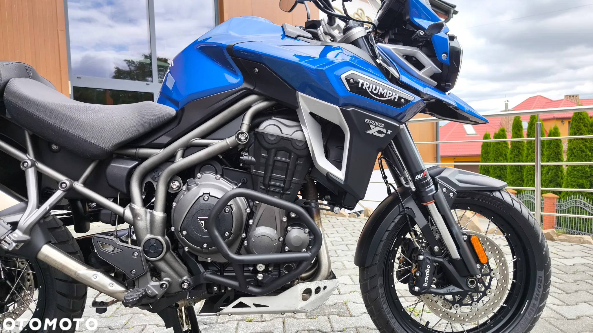Triumph Tiger - 14