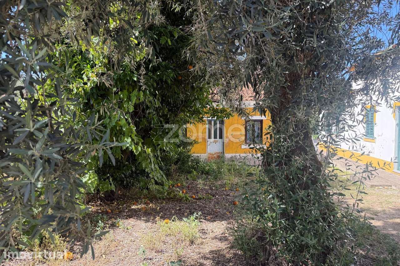 Casa do Pessegueiro – Projeto de Reabilitação - Grande imagem: 3/16