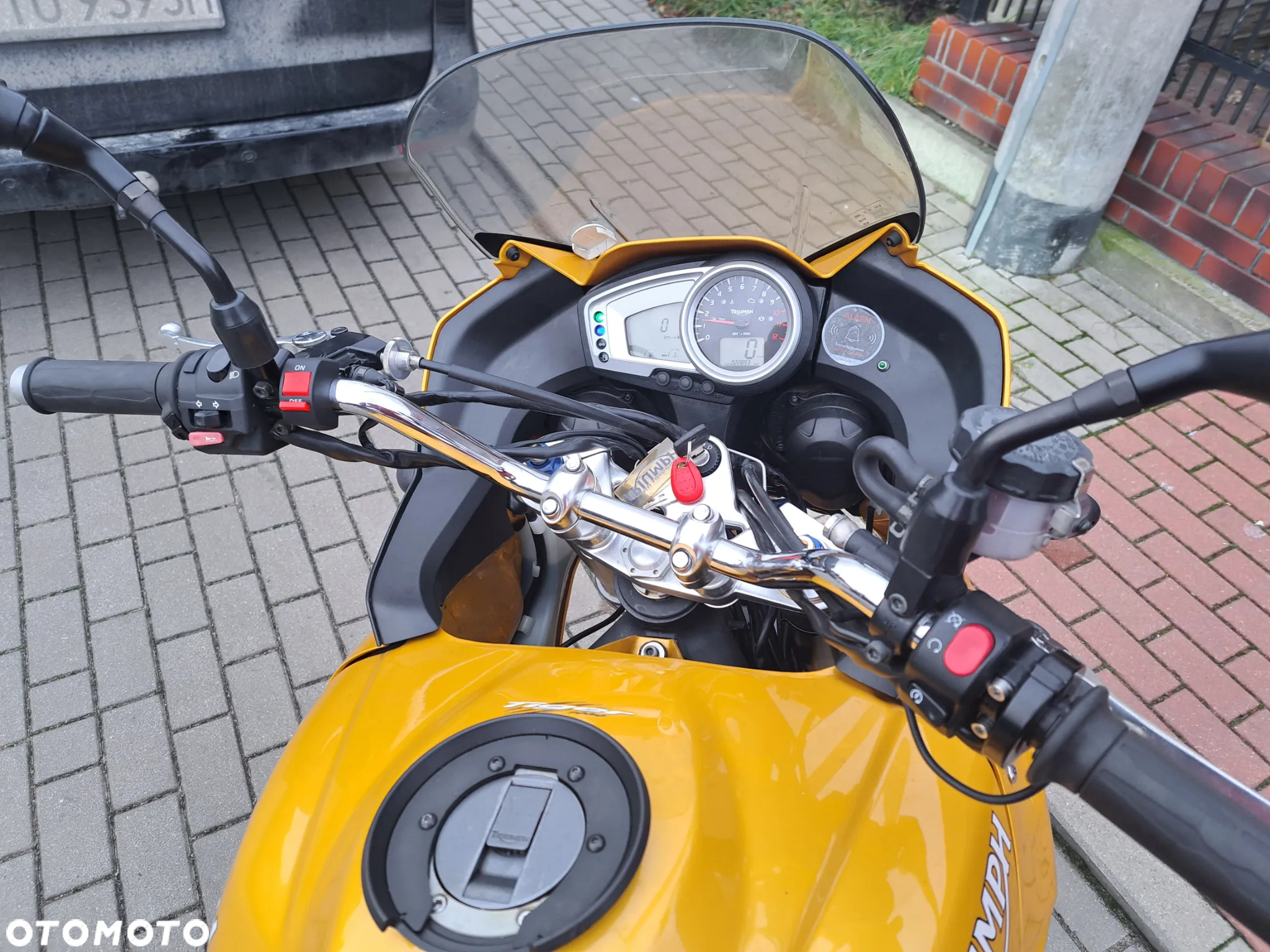 Triumph Tiger - 12
