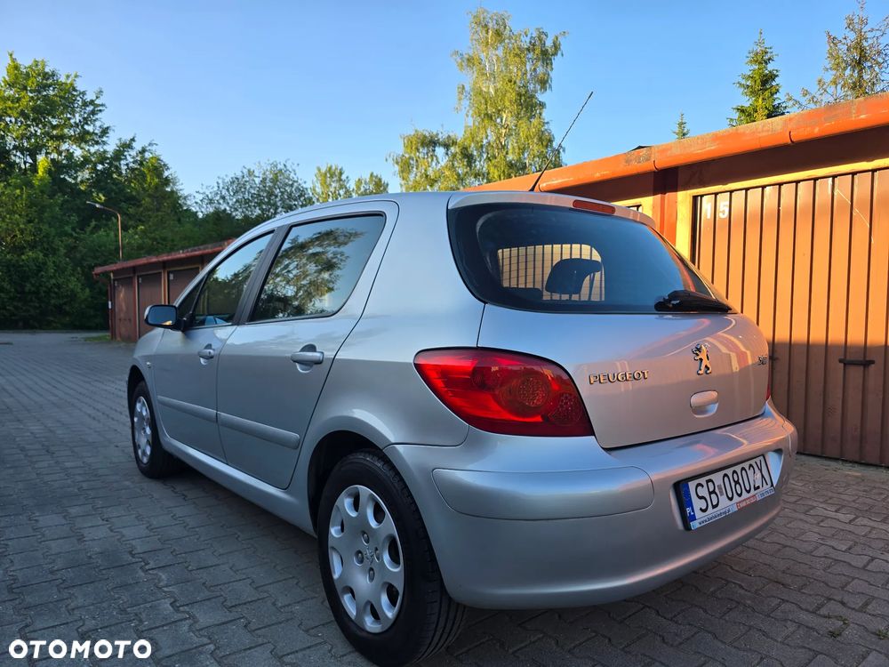 Peugeot 307 1.6 Premium - 8