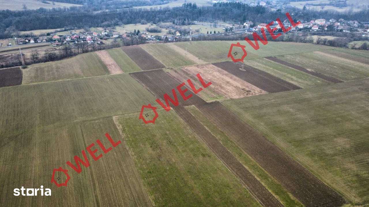 De vânzare teren extravilan în loc.Micfalău - Imagine principală: 2/2