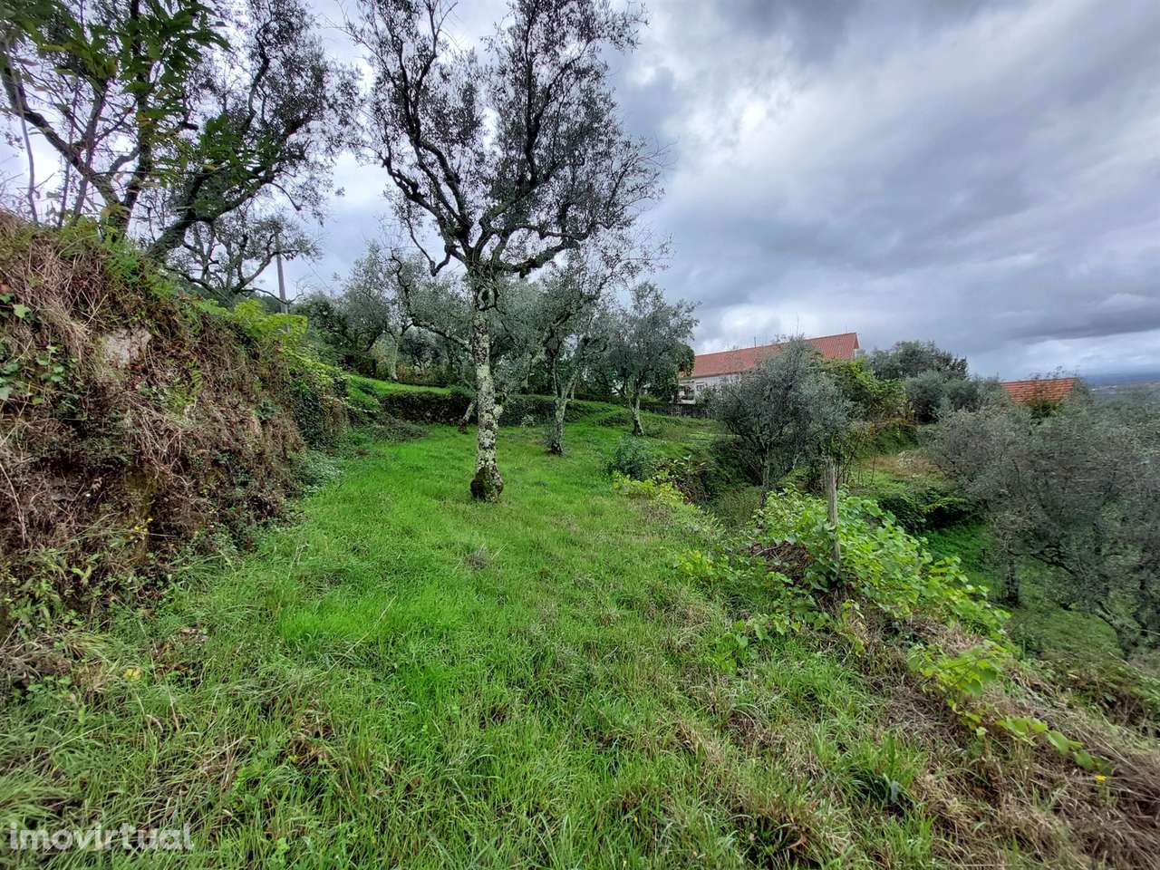 Quintinha com casa habitação - Grande imagem: 3/19