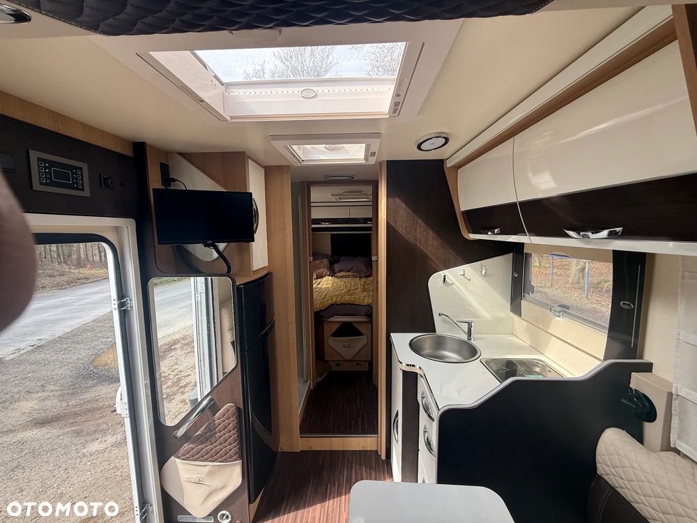 McLOUIS Yearling i61g - 15