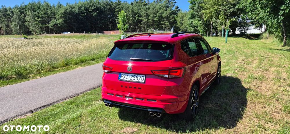 Cupra Ateca - 8