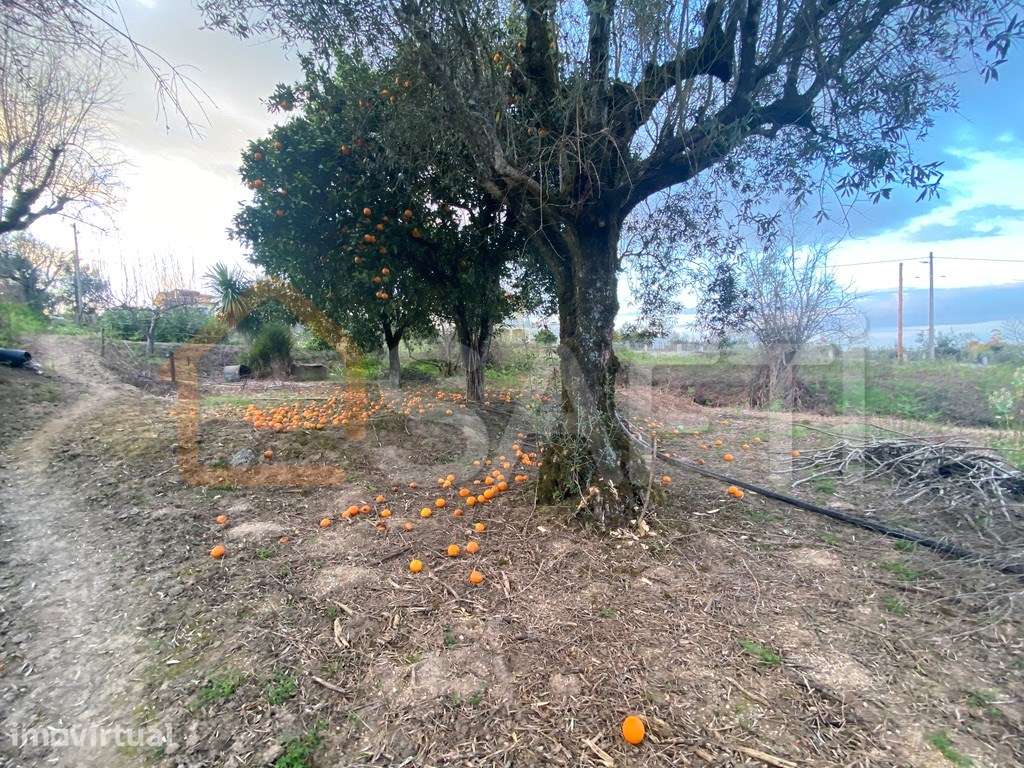 Terreno na estrada entre a vila e aldeia - 1950m2 - 60 000€ - Grande imagem: 2/20