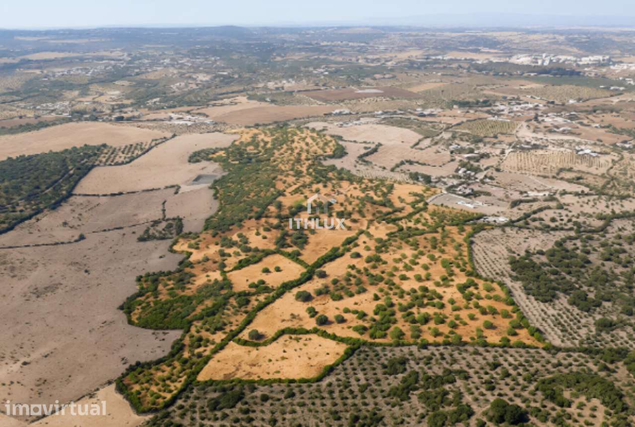 Herdade 40,8 Hectares com Fantástica casa com 3 Suites - Grande imagem: 3/41