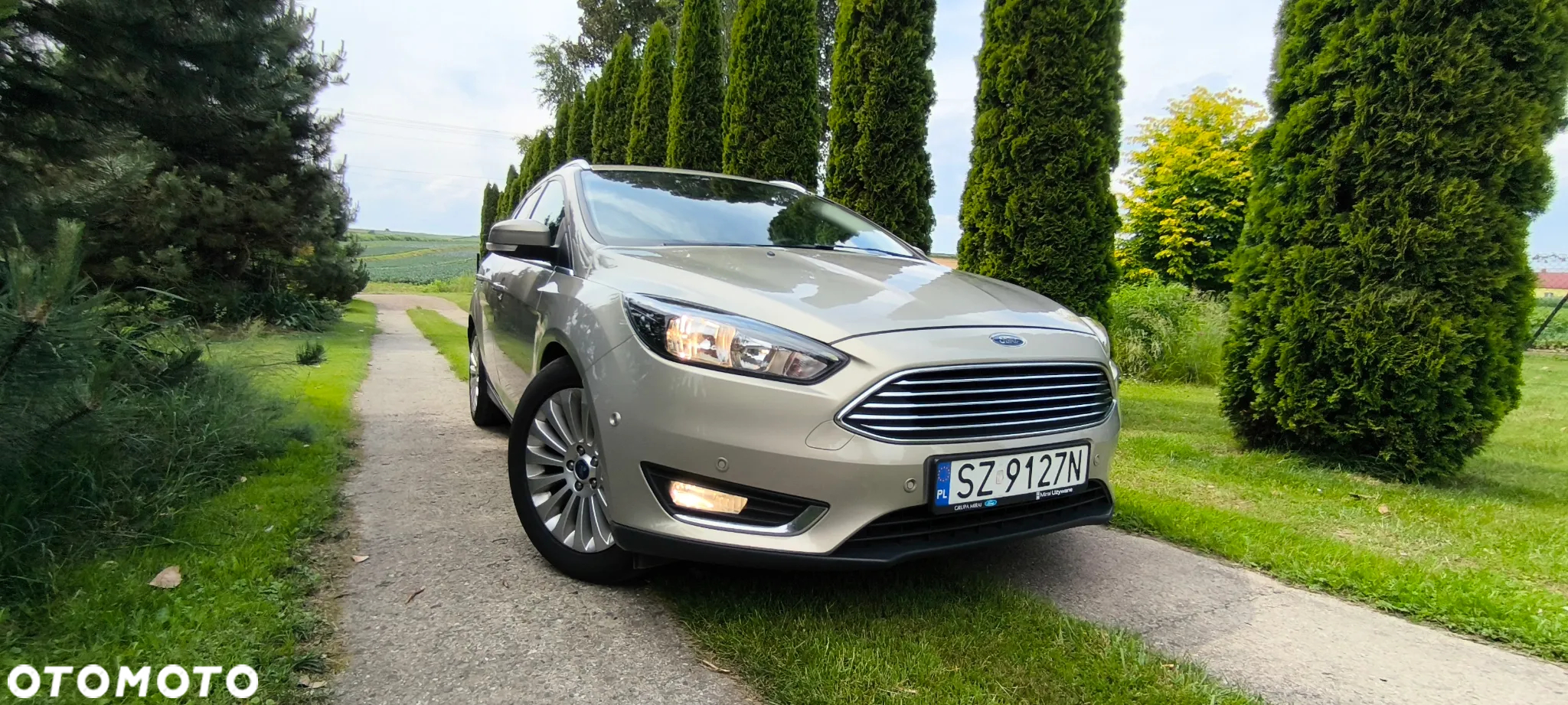 Ford Focus - 3