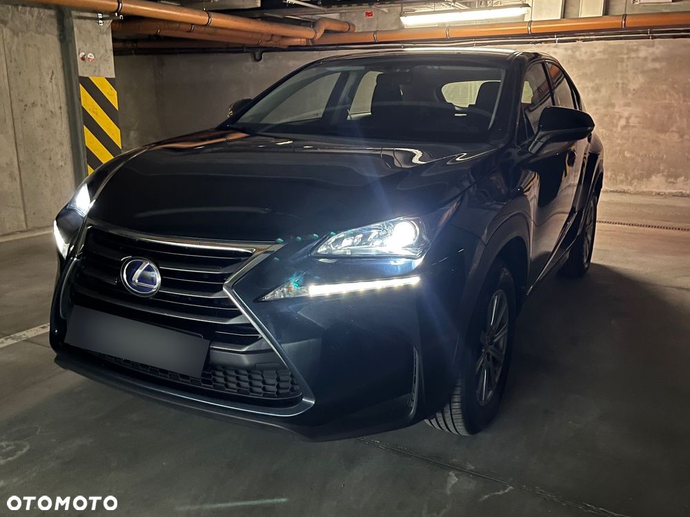 Lexus NX 300h Elite 2WD - 14