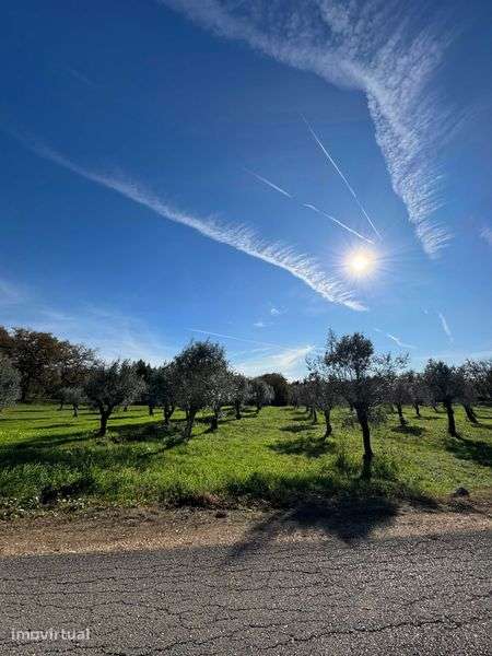 Anúncio de Venda de Terreno – Oportunidade Imperdível! Land for Sale - Grande imagem: 3/3
