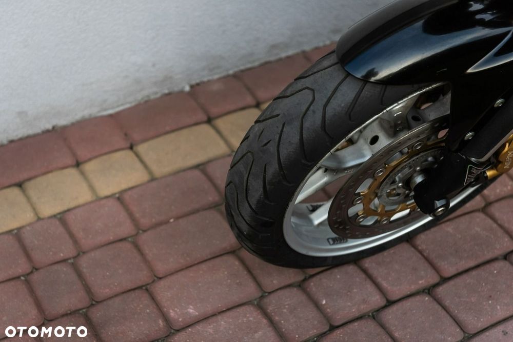 Triumph Tiger - 9