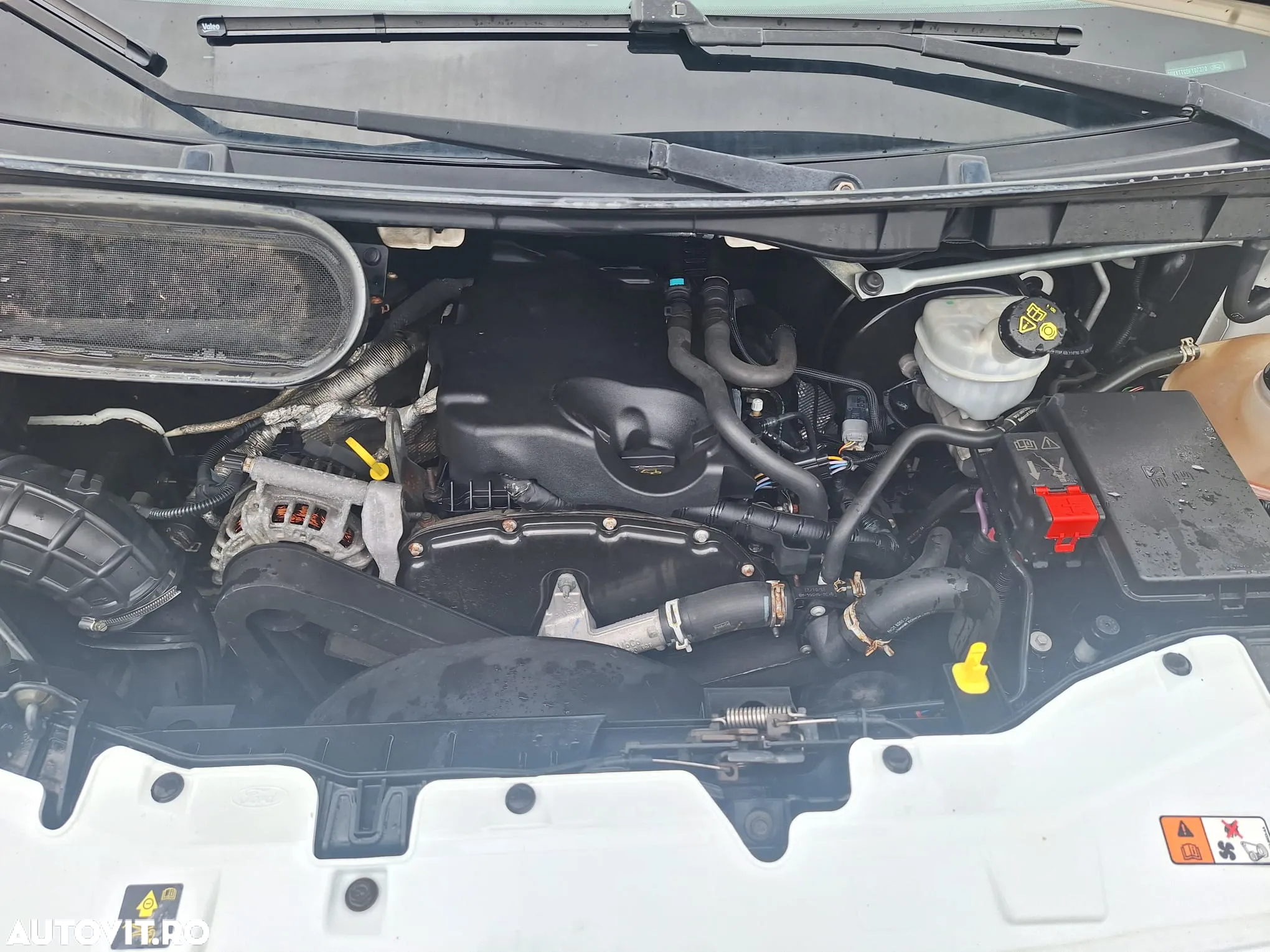 Ford Transit - 7