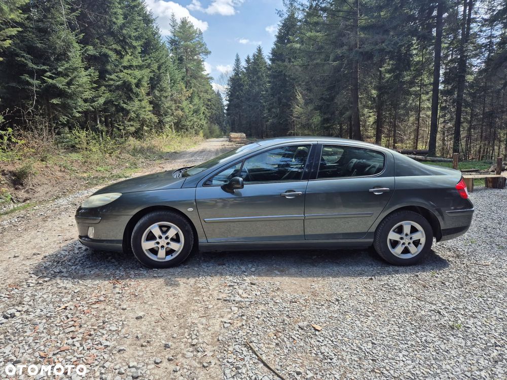 Peugeot 407 HDi 110 Esplanade - 24