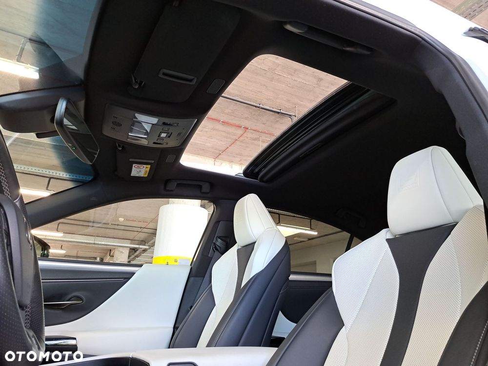Lexus ES 300h F Sport Edition - 38