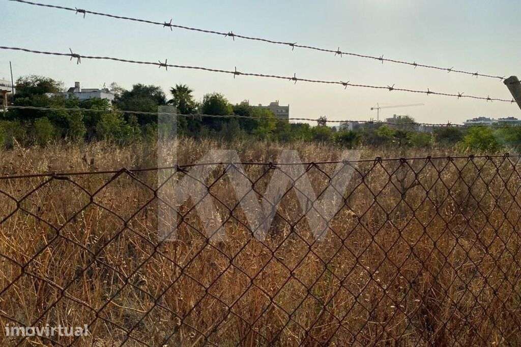 Terreno com 45400 m2 de área com Loteamento Aprovado - Grande imagem: 2/9