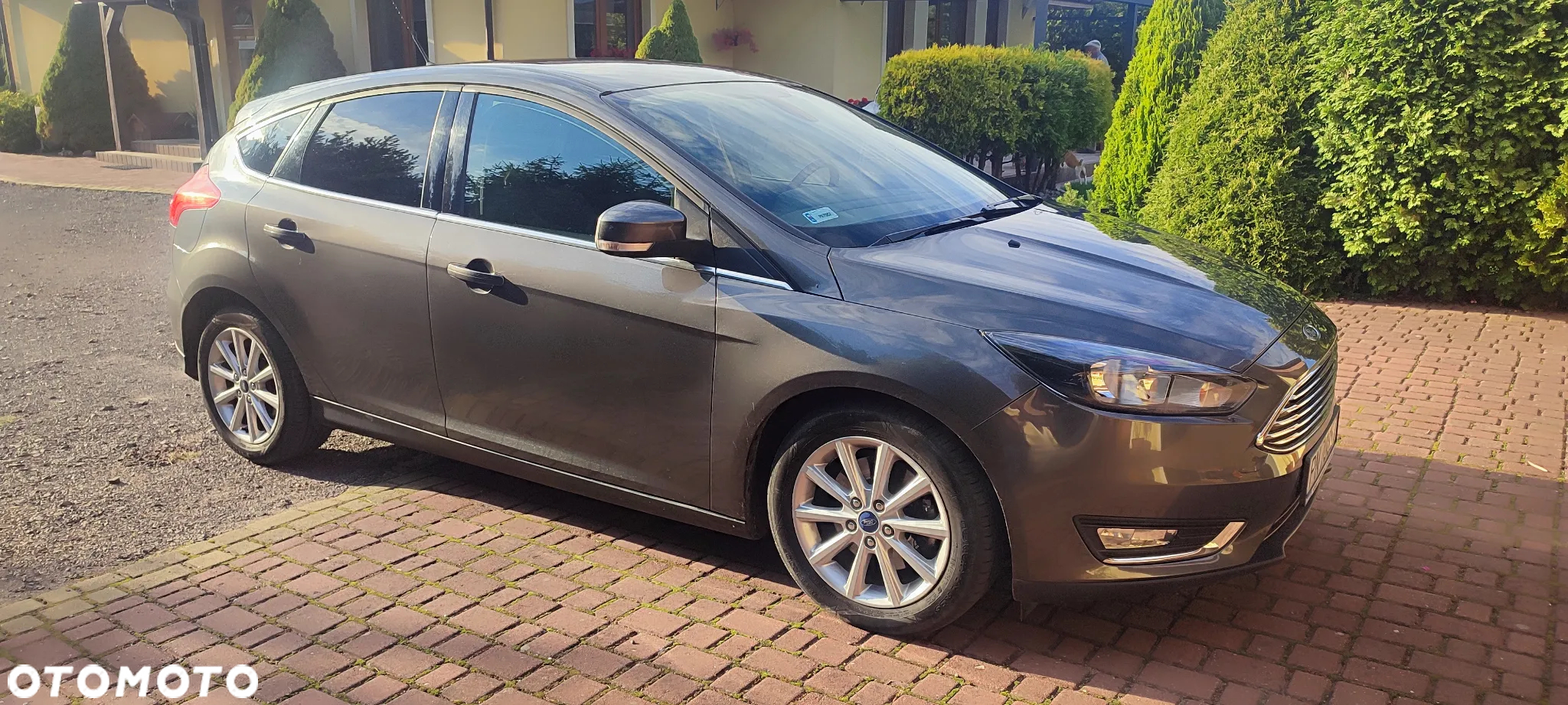 Ford Focus 1.5 EcoBoost Titanium ASS - 3