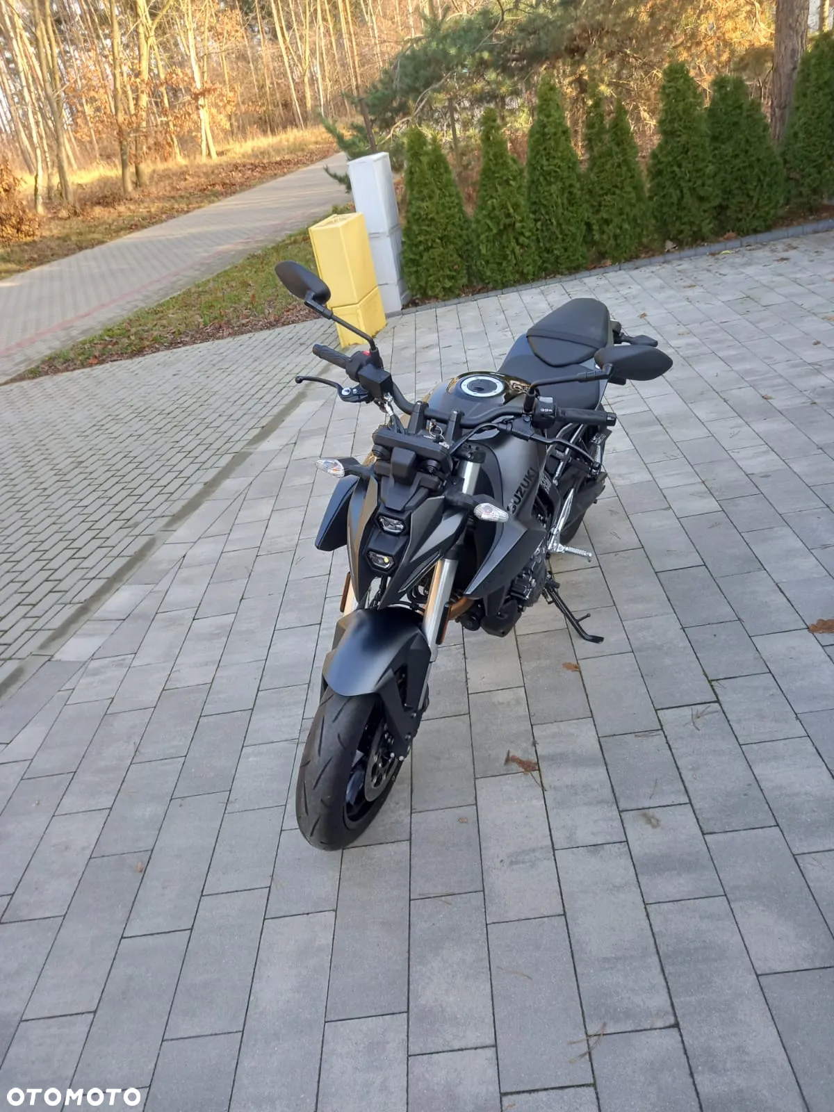 Suzuki GSX - 10