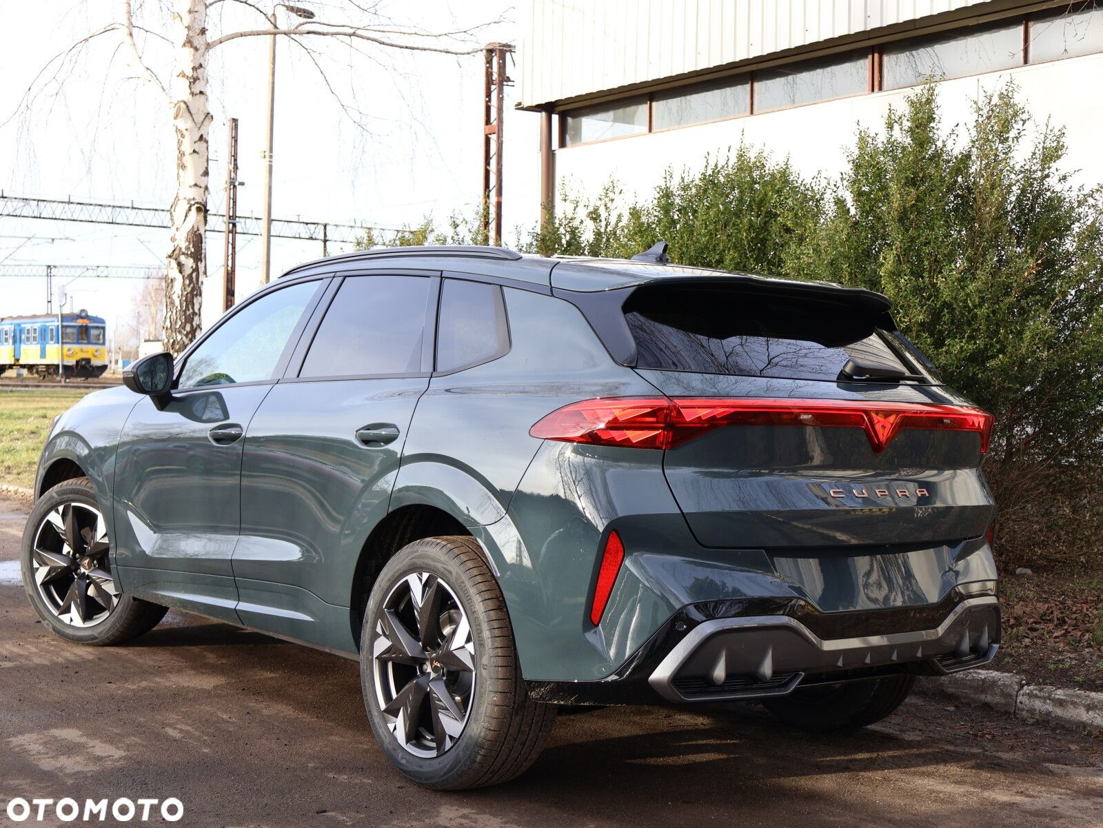 Cupra Terramar 1.5 eTSI mHEV DSG - 8