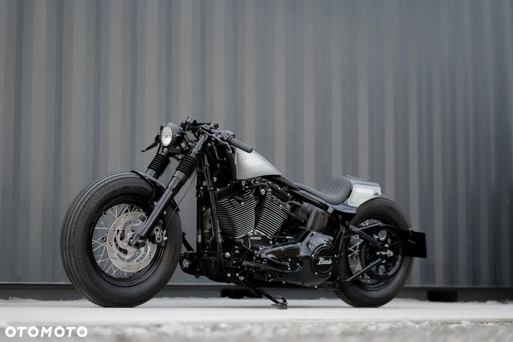 Harley-Davidson Softail Heritage Classic - 15